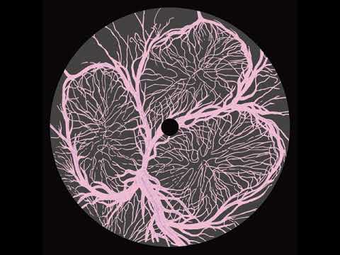 MNMT Premiere: Mary Yuzovskaya – Working B