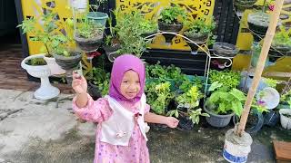 Download lagu Sayur kumplit di depan pagar rumah anabia mp3