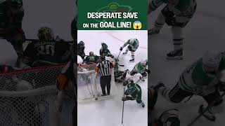 MASSIVELY clutch moment for the Wild ????‍????
