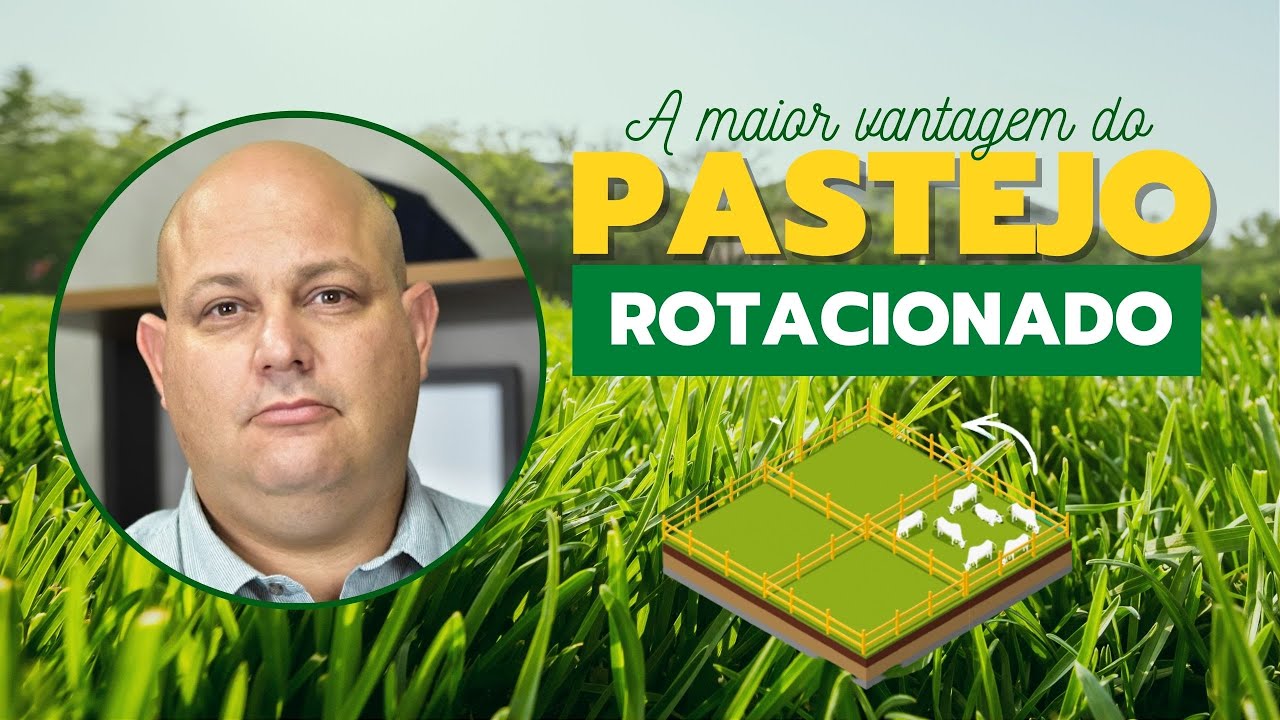 ENTENDA DE UMA VEZ POR TODAS A MAIOR VANTAGEM DO PASTEJO ROTACIONADO | PROF. MARCELO COSTA