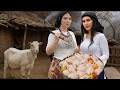 Rainy Village Day Cow Birth Traditional Chicken Cooking