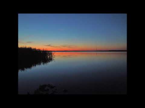 Detroit | Deep | Dub Techno - Summer Grooves