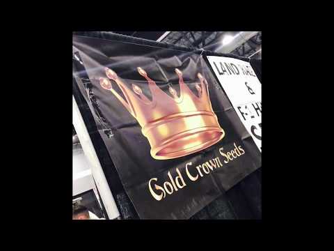 Cannabindex at the 2017 Portland INDO EXPO!