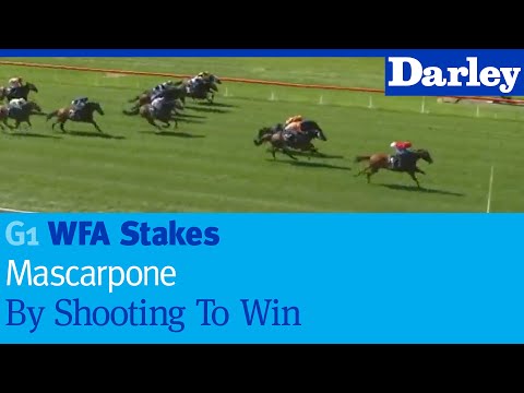 Mascarpone by Shooting To Win wins the G1 WFA Stakes at Otaki, New Zealand