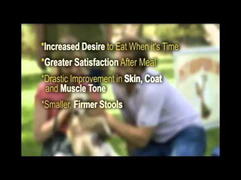 Benefits of Bil-Jac Dog Food