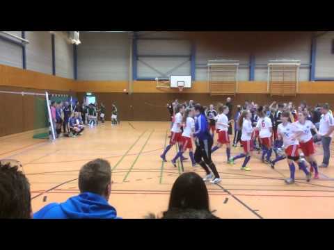 HSV B Mädchen Futsal Meister 2014