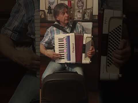 +491788835231/БаяныАккордеоны в Германии/Roland FR-1 mit Box und Zubehör /1090€