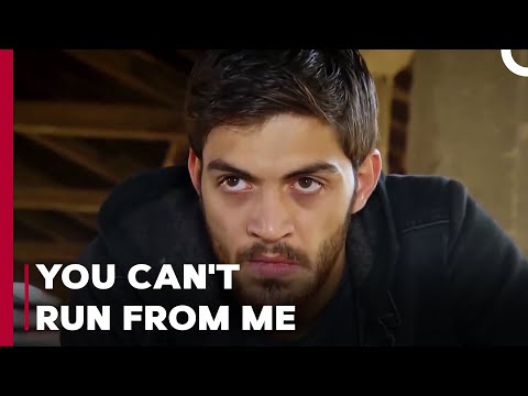 Ozan Catches The Organ Mafia - Can't Stop Loving You