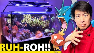 I abandoned my reef tank for Japan again. Visited Shinagawa Aquarium, Taiji Whale Museum, Akihabara