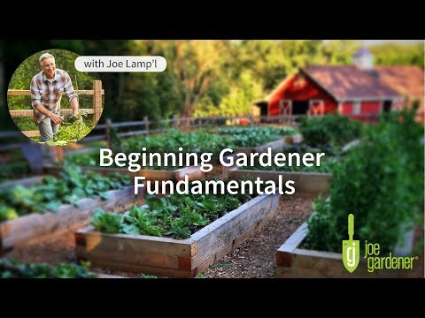 YouTube video about: How to compliment a gardener?