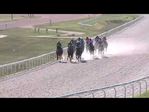 2022.06.19. 08. futam - NYERETLENEK VERSENYE (V.kat.) (szintetikus pálya)