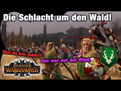 RITTER AUS DEM WALD! Imperium vs Waldelfen - Total War: Warhammer 3 Multiplayer