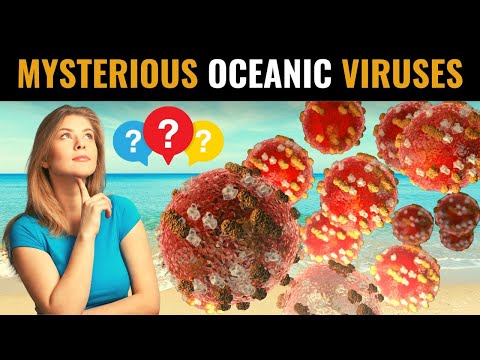 Mysterious Mirusviruses Found in Oceans | Origin of Herpesviruses | Tara Oceans Expedition