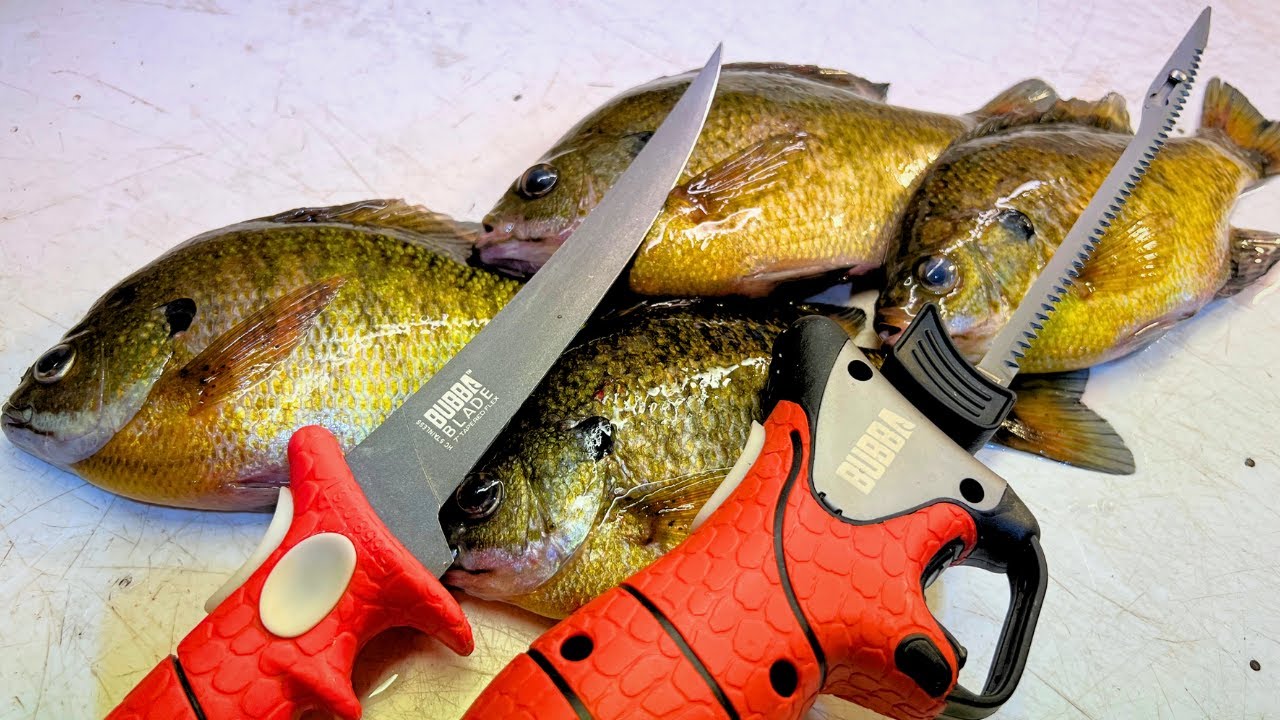 3 Ways to Fillet a Bluegill That Every Panfish Angler Should Know!