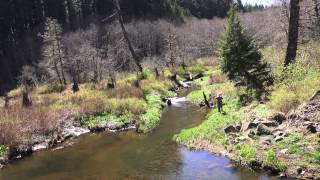 preview picture of video 'Oregon Nestucca River 1'