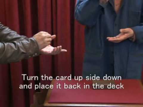 Drawing Card Case by Mikame - Dude That's Cool Magic