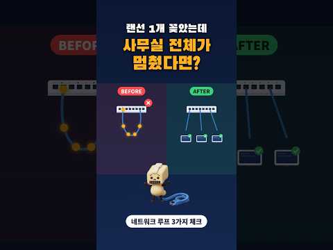 랜선 1개 꽂았는데 사무실 전체가 멈췄다면? #네트워크루프