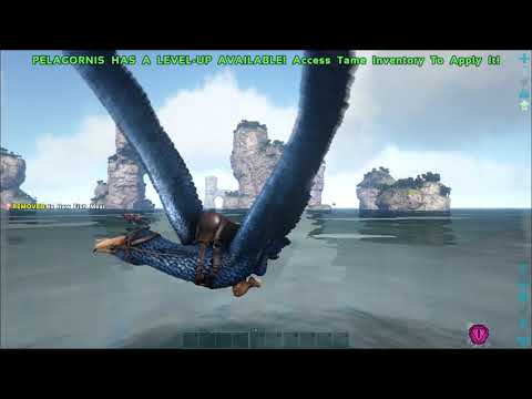 ARK  Survival Evolved glitch when you do task with pelagornis