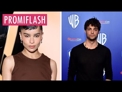 Zoë Kravitz wurde nach Trennung mit Noah Centineo gesichtet