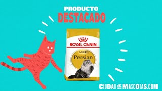 Ciudaddemascotas.com: Royal Canin Persian Gato Adulto