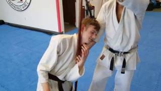 Functional Kobudo: Outside Block (Ude-Uke) with Bo