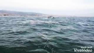 Pescadores de Ensenada chalino Sánchez