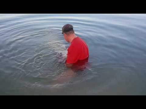 Ebro 72kgs Catfish caught with Paul Booth