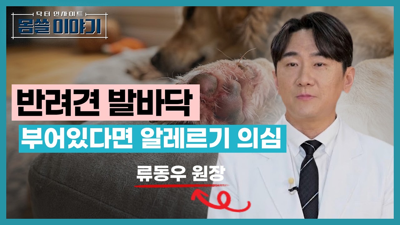 강아지가 발을 계속 핥는 이유… 알레르기 신호입니다 [몸쓸이야기 17회]