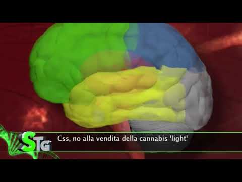 Salus Tg, 22 giugno 2018