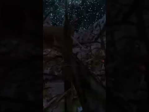 Would you take this offer? #vr #trends #vr #choices