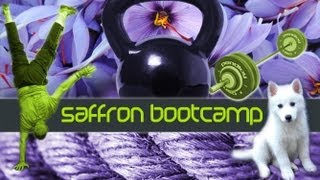 preview picture of video 'Saffron Bootcamp'