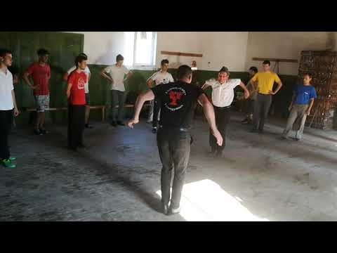 Tófalvi Árpád (Gödri) 3