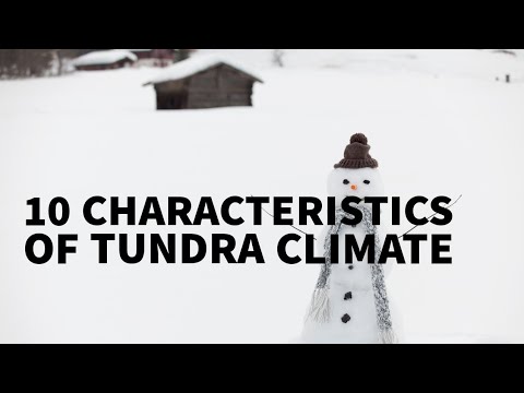 10 CHARACTERISTICS OF TUNDRA CLIMATE