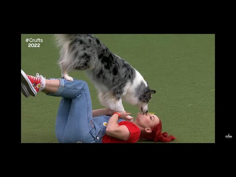 Crufts 2022 Freestyle - Full Video plus score and awards