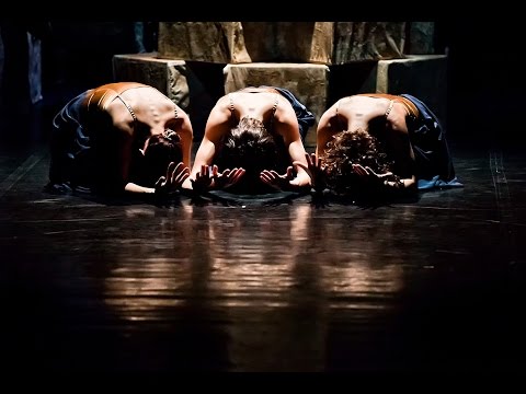 Inversedance | Zoltan Fodor Company - After the Choice