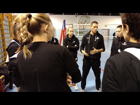 Ristorante Pizzria al Toscano - ASD Borgovolley Serie D fem. 2016-17 10-12-2016