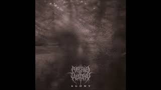 Afraid of Destiny - 08 - Sweet Illness of Mine (Lifelover cover)