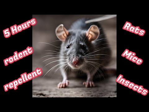 No Ads-5 Hours-High Frequency Sound Rodent Repellent-Mice, Rats, Skunks and other rodents hate this.