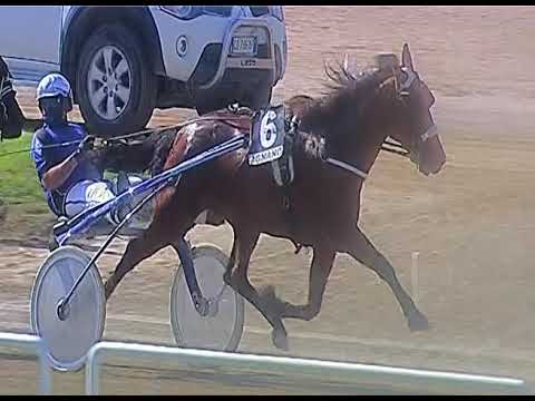 Trotto 11/06/2020 - 6ª corsa