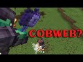 Mace PVP Has No More Counter