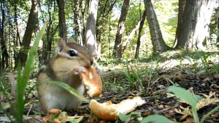 Post Storm The Day Distortion Was Born