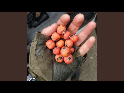 Ek Qininq ARTSAKH - Եկ Քինինք ԱՐՑԱԽ