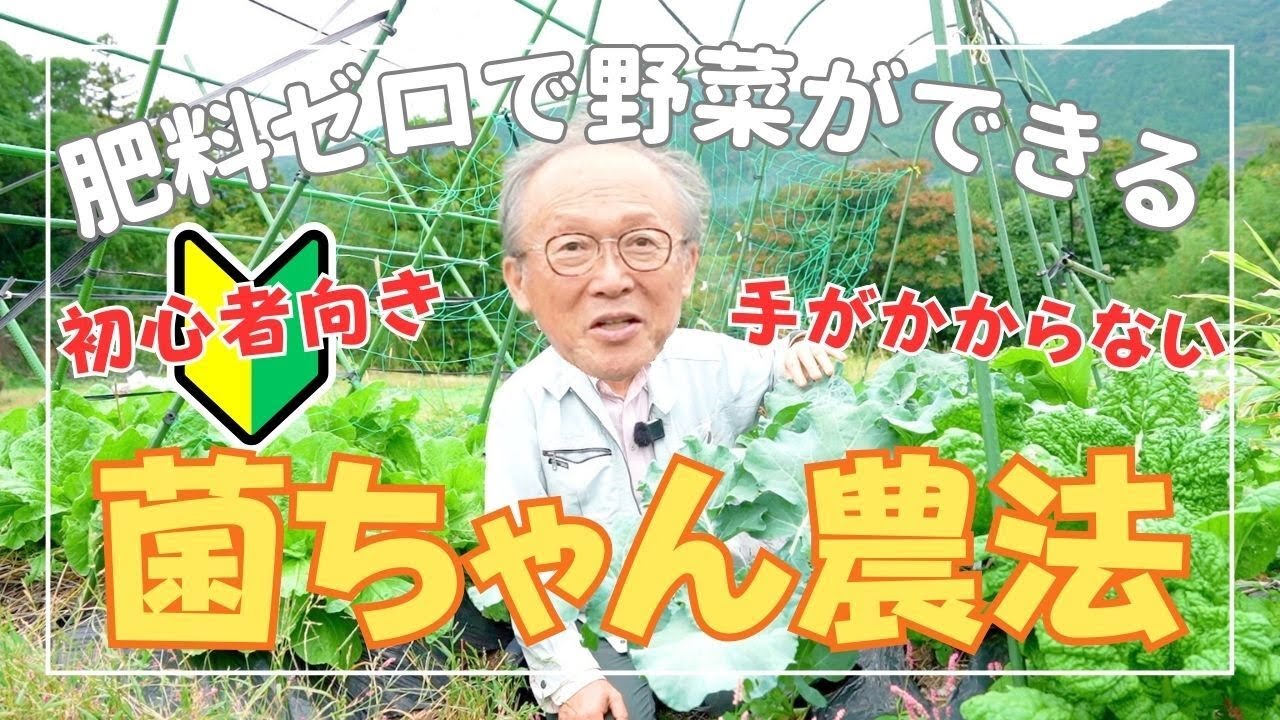 土も人も地球も元気に！菌ちゃん農法の魅力