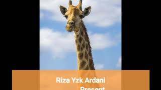 ANIMALS (With Lyrics) - MICHAEL LEARNS TO ROCK (MLTR)