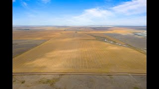 15 Quarters With Irrigation & Yard For Sale Near Riverhurst, SK in RM of Maple Bush 224
