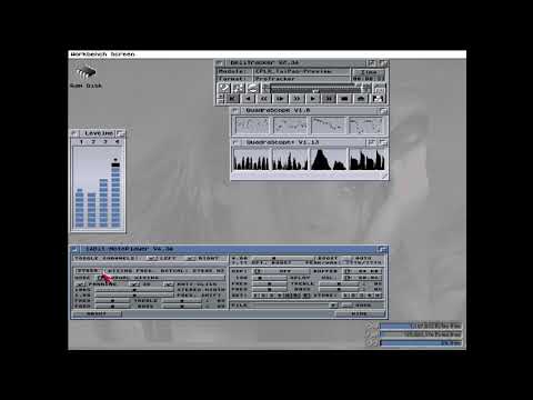 14bit noteplayer. Software DSP effects in real Amiga A1200