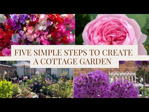 Beginner Tips For Creating A Cottage Garden (From A Beginner!)