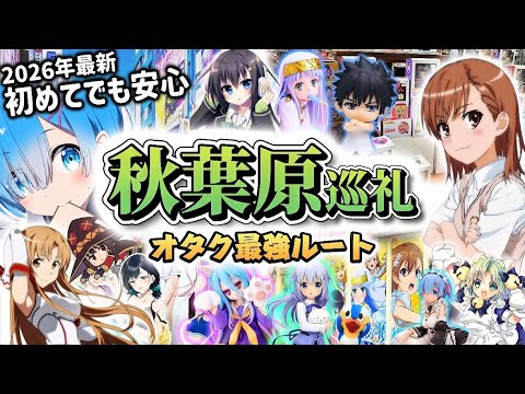 【秋葉原おすすめオタ店】オタクが本気で考えた&rdquo;秋葉原最適ルート&rdquo;を巡礼【秋葉原観光！初めてでも安心の巡礼2026年最新版‼︎】