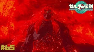 【ゼルダの伝説ティアーズオブザキングダム】衝撃！魔王誕生の瞬間。龍の泪反応集！ #65【ティアキン】