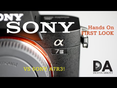 Sony a73 vs Sony a7R3: First Look | 4K